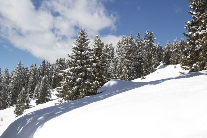 Mountain view