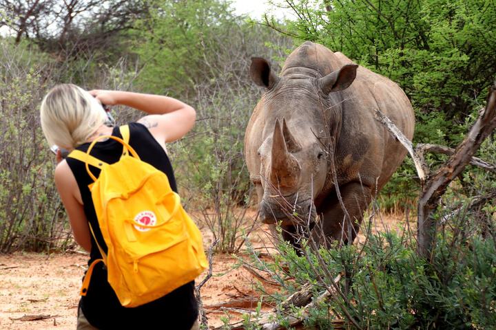 Game viewing