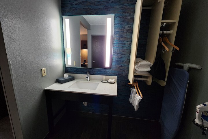 1 King Bed Mobility Accessible Roll in Shower (10 of 25)