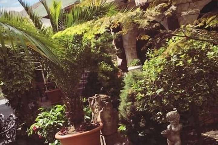 Hotel Exterior 82 of 91