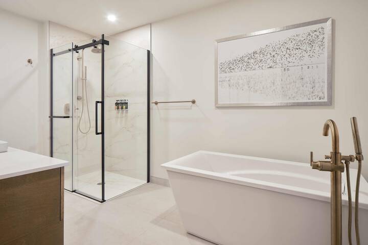 209 2nd Floor Studio Murphy Queen Bed with Balcony (1 of 95)