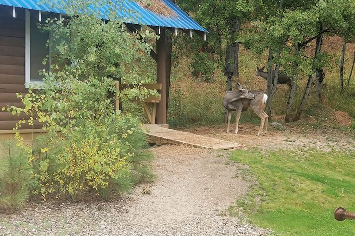 Property Grounds 39 of 42