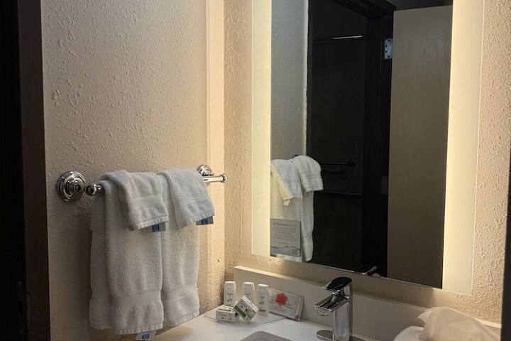 1 King Bed Mobility Accessible Bathtub with Grab Bars (11 of 22)