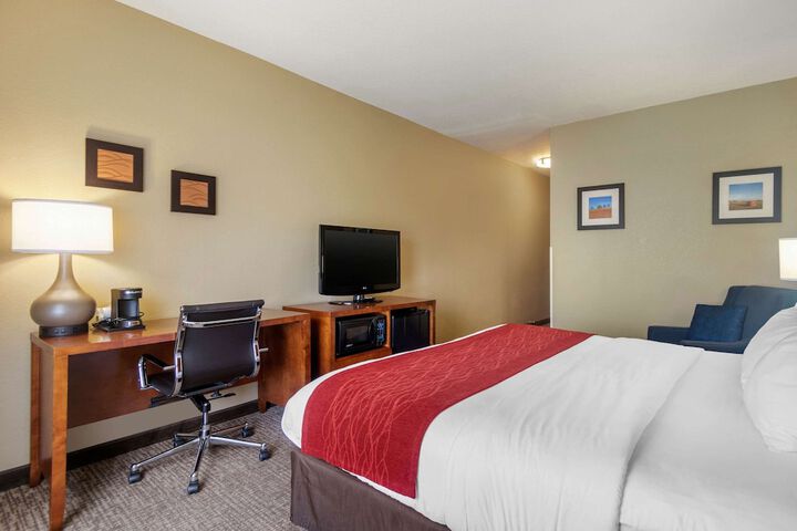 1 King Bed Accessible (5 of 18)