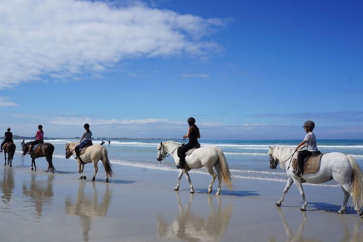 Horseback riding