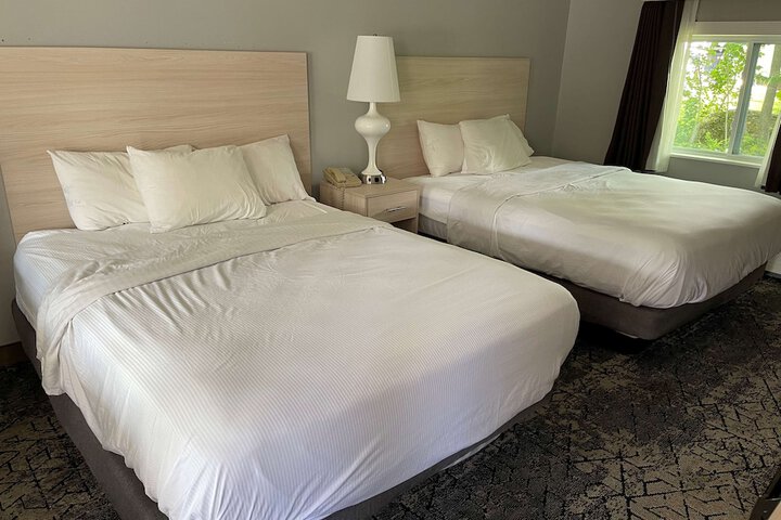 2 Queen Beds Outdoor Pool Area Desk Work Space Refrigerator, Coffee and Tea Maker Full Breakfast (12 of 20)