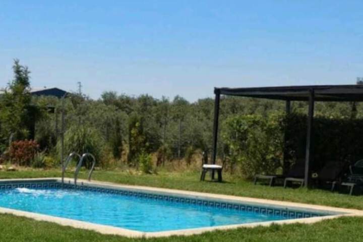 Pool 34 of 78