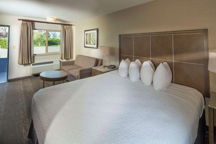 1 King Bed Sofa Bed Pet Friendly Room Work Desk Microwave and Refrigerator Full Breakfast (14 of 17)