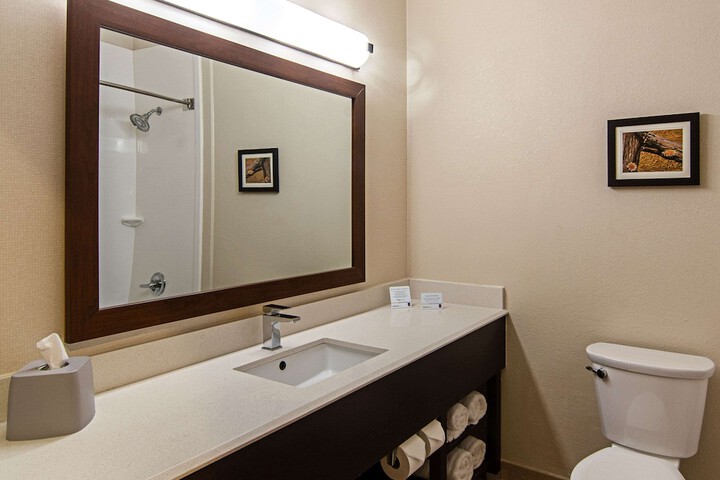 1 King Bed Suite (18 of 23)