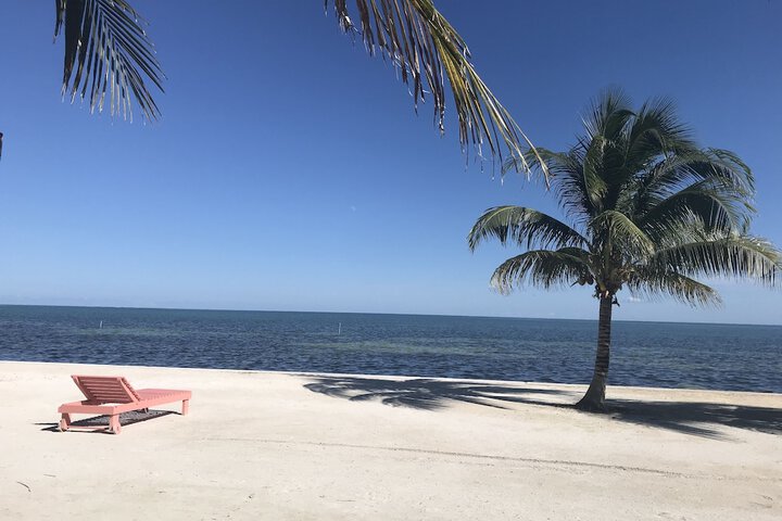 Beach 54 of 67