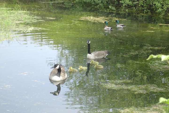 Property Grounds 4 of 6
