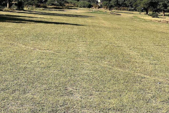 Golf 38 of 62