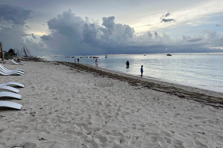 Beach 79 of 99