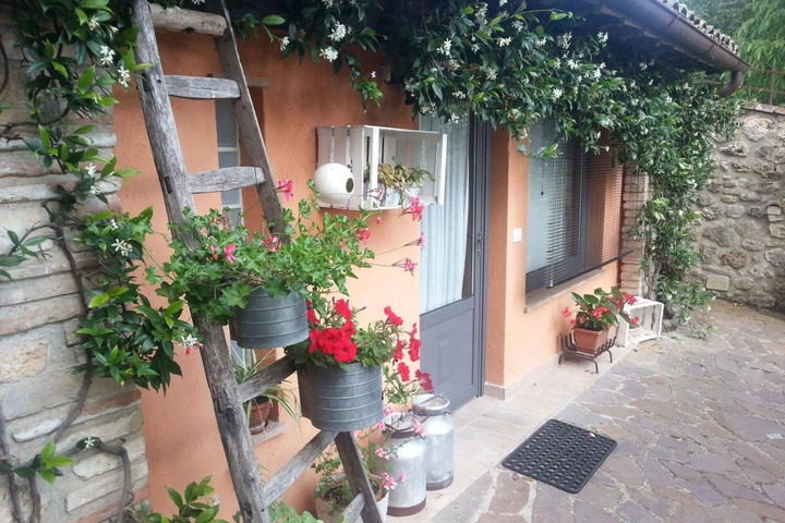 Photo 14