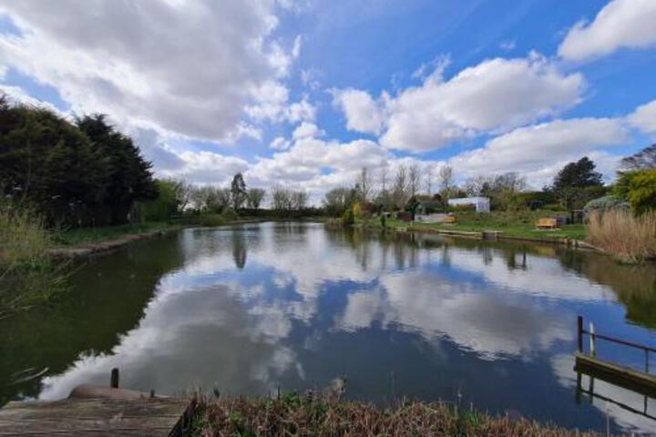General 8 of 26