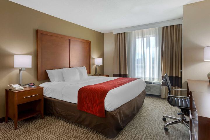 1 King Bed Accessible (6 of 11)
