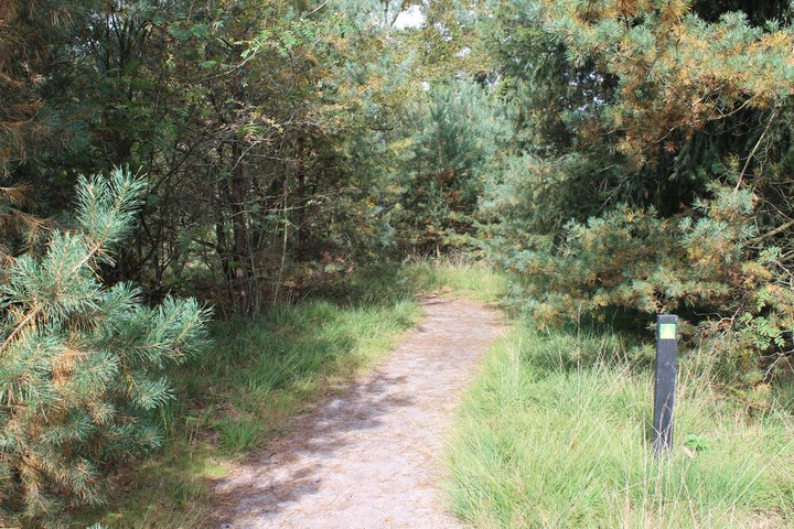 Property Grounds 33 of 47