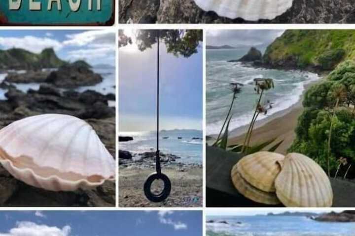Miscellaneous