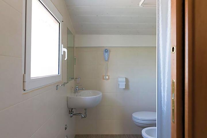 General 24 of 50