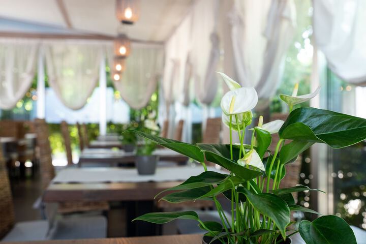 Wedding/Banquet 77 of 81
