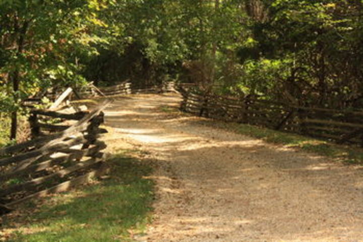 Property Grounds 76 of 79