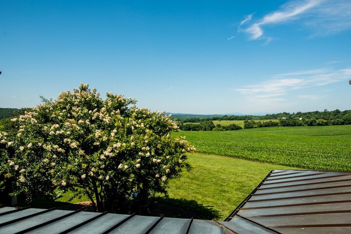 Property Grounds 27 of 36