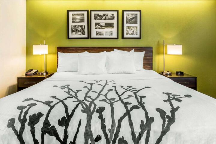 Standard | King Bed (7 of 9)