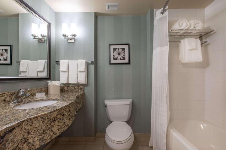 1 King Mobility Accessible with Bathtub (12 of 26)