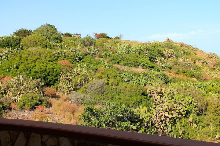 Terrace/Patio 8 of 26