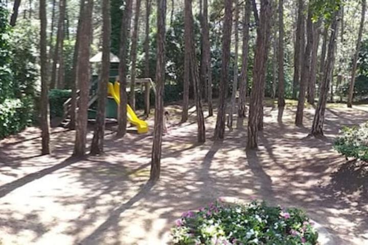 Property Grounds 41 of 54