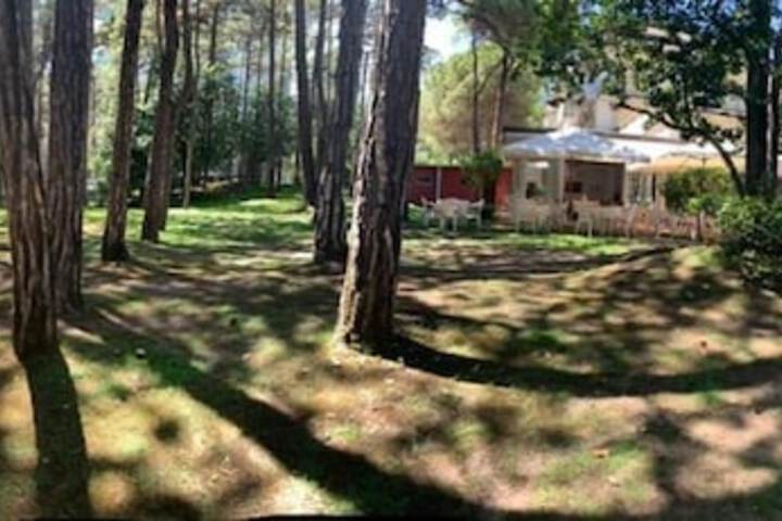 Property Grounds 43 of 54