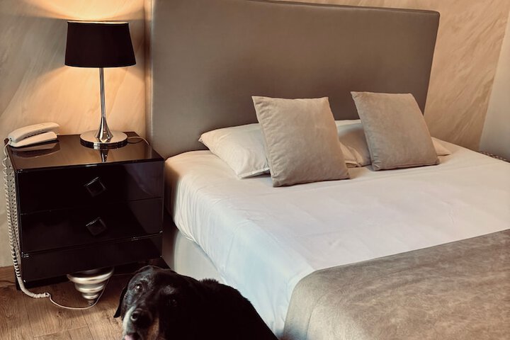 Room 13 of 30