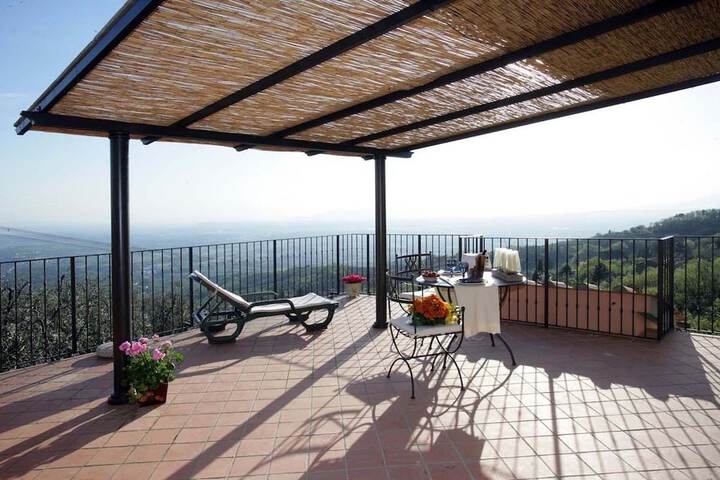 Terrace/Patio 16 of 42