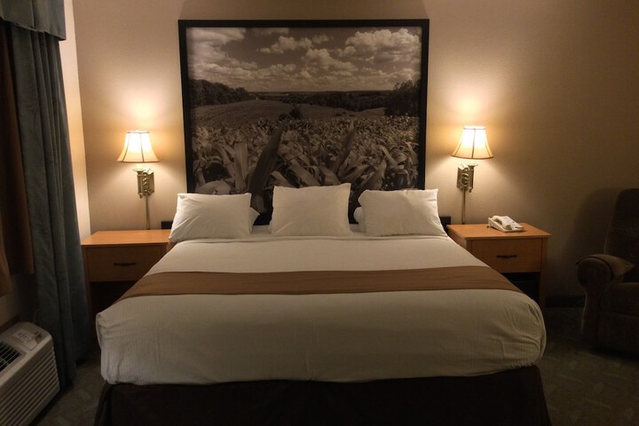 1 King Bed (3 of 20)