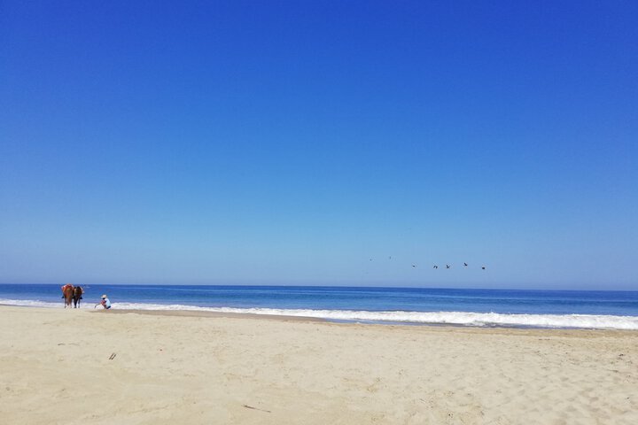 Beach 82 of 107