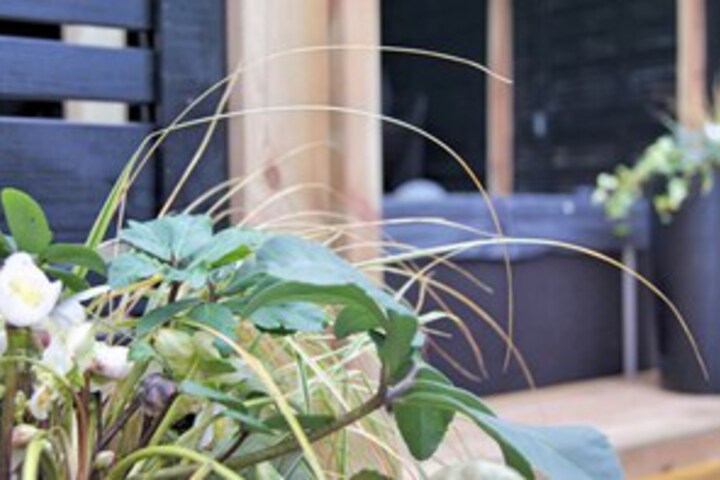 Terrace/Patio 12 of 13