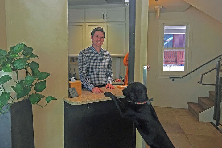 Pet Friendly 243 of 279