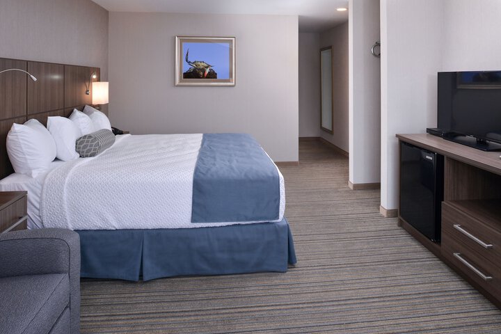 1 King Bed (7 of 17)