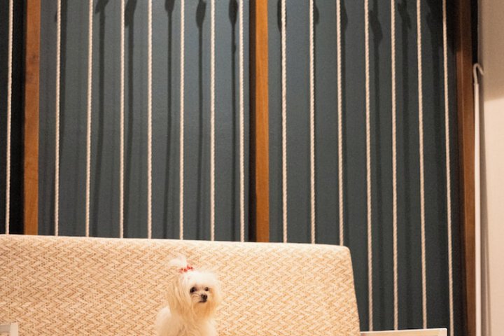 Pet Friendly 77 of 101