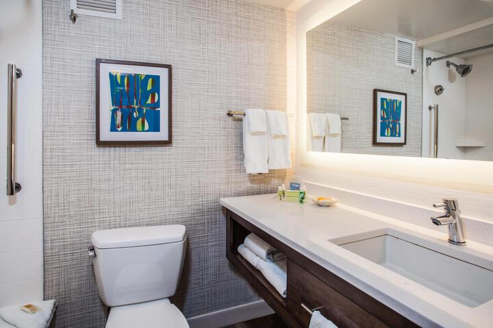 1 King Standard Mobility Accessible Tub (16 of 17)