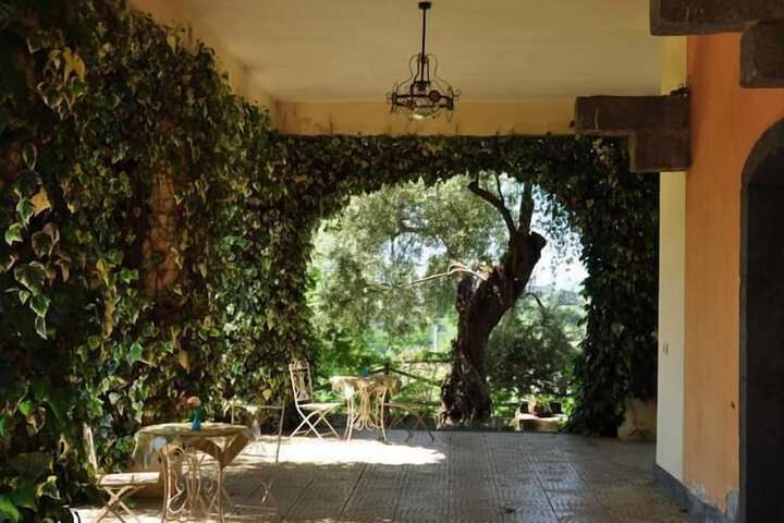 Terrace/Patio 69 of 82