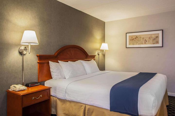 1 King Bed (5 of 9)