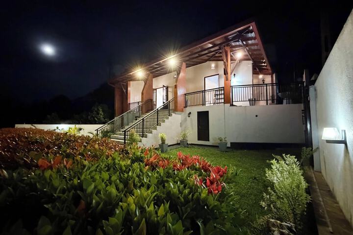 Albion Nest Galle