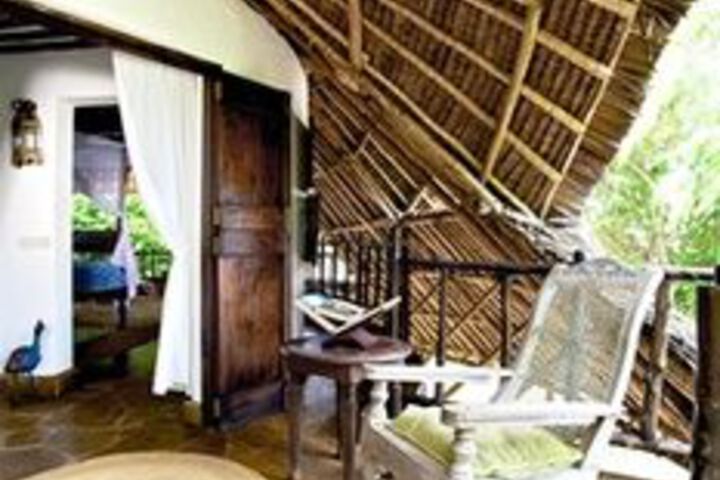 Terrace or Patio