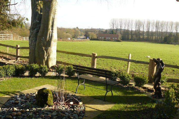 General 13 of 15