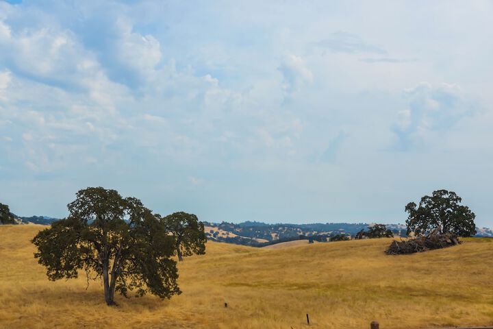 Property Grounds 8 of 9