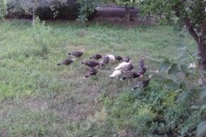 Property Grounds 26 of 27