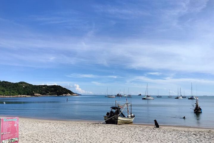 Beach 110 of 132