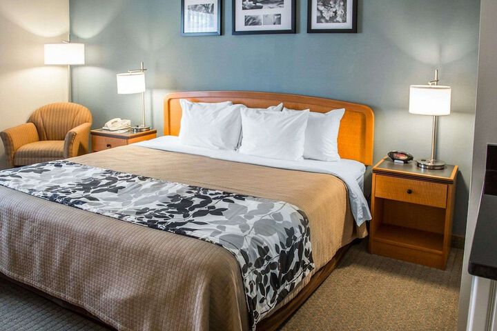 1 King Bed (14 of 14)