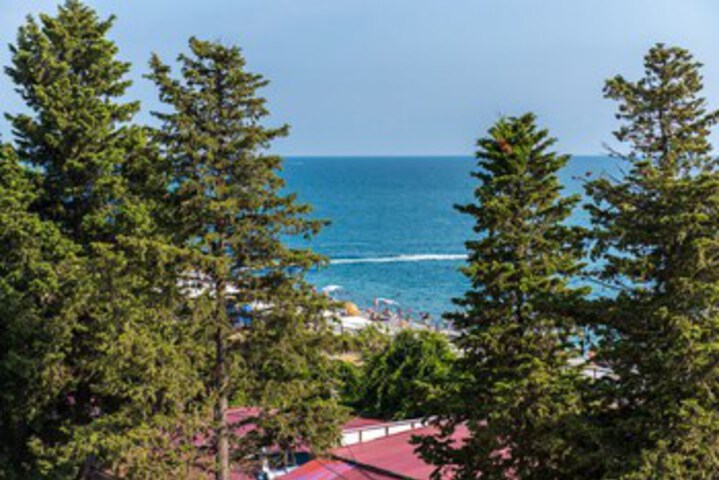 Beach 8 of 36